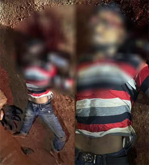 Nelyadi-stab case